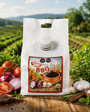 Salsa BBQ